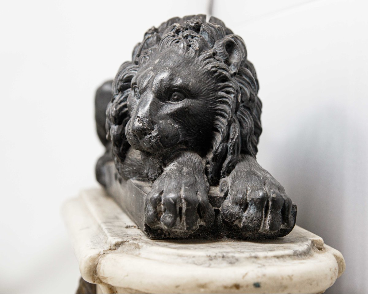 Da Antonio Canova (Possagno, 1º novembre 1757 – Venezia, 13 ottobre 1822), Leoni-photo-5