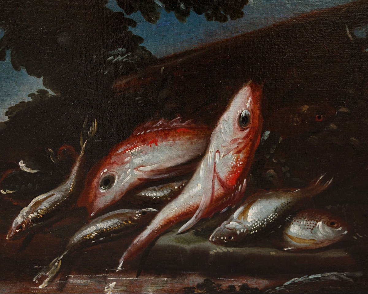 Elena Recco (Attiva tra la fine del XVII e l'inizio del XVIII secolo), Natura morta di pesci-photo-2