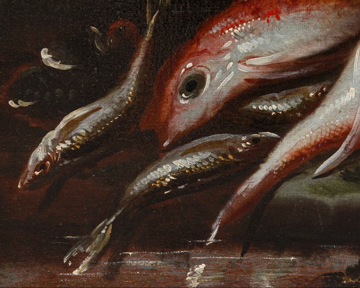 Elena Recco (Attiva tra la fine del XVII e l'inizio del XVIII secolo), Natura morta di pesci-photo-3