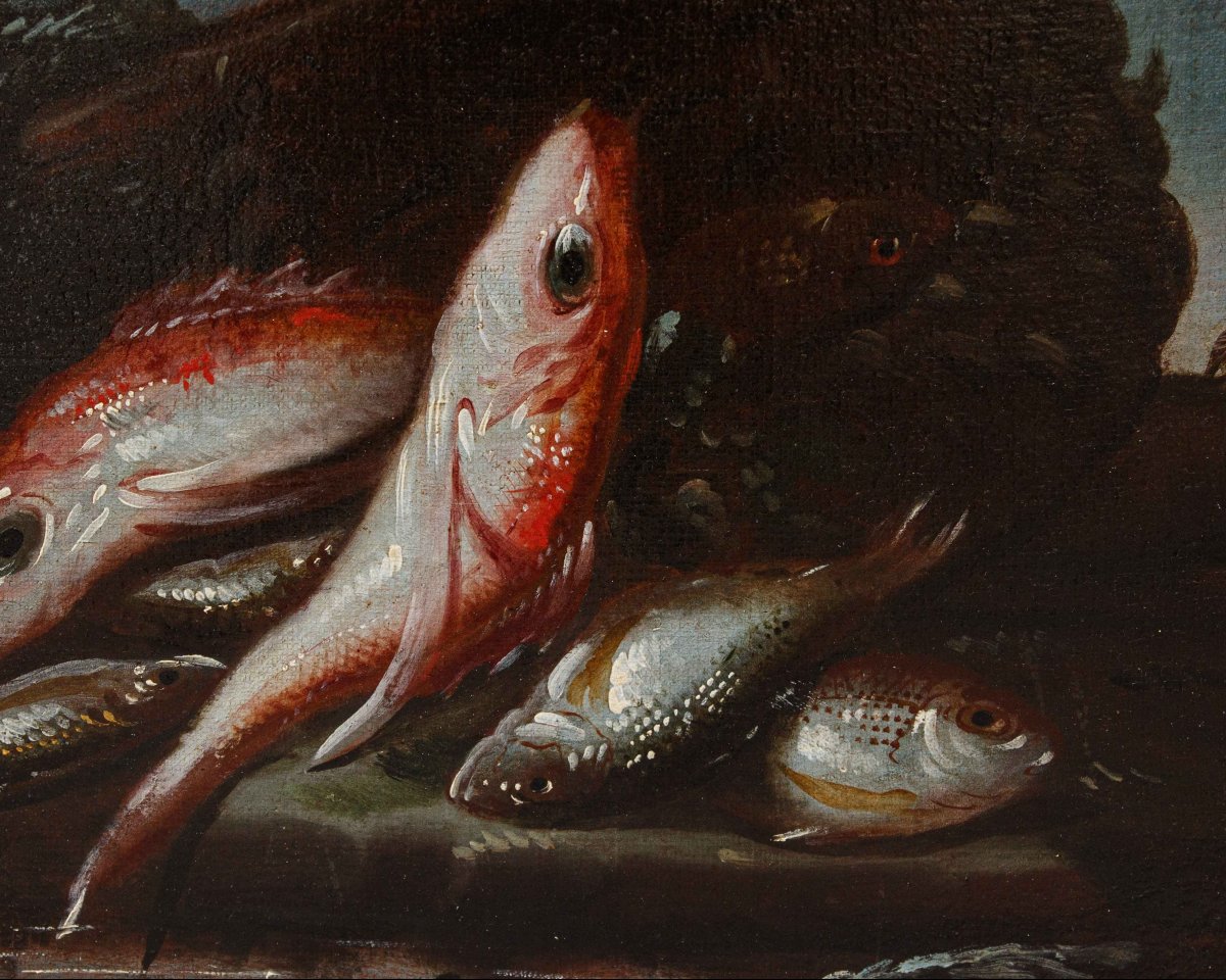 Elena Recco (Attiva tra la fine del XVII e l'inizio del XVIII secolo), Natura morta di pesci-photo-1