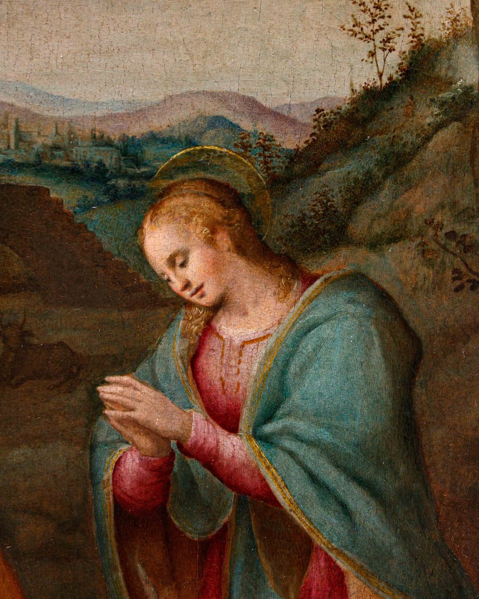 Francesco Del Brina (Firenze, 1529 – 1586), Natività-photo-2