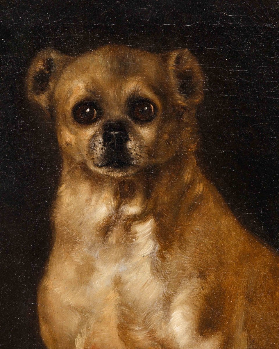 Scuola italiana, sec. XVIII, Ritratto di cagnolino-photo-2