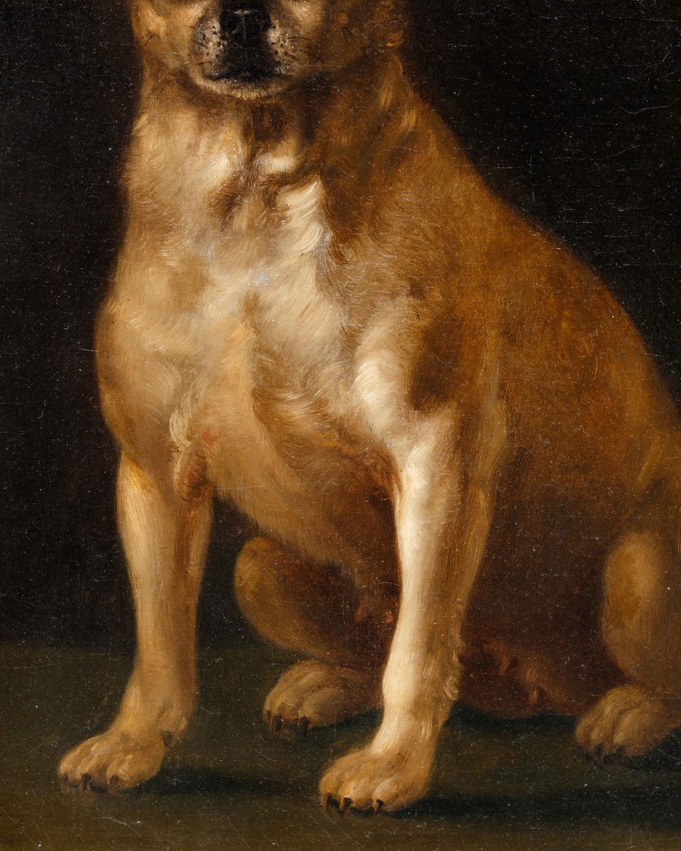 Scuola italiana, sec. XVIII, Ritratto di cagnolino-photo-4