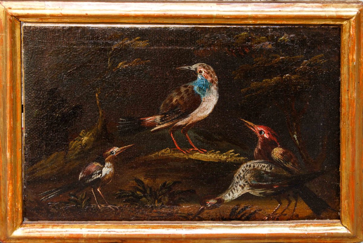 Prima metà del XVIII secolo, scuola bresciana, Coppia di nature vive con uccelli-photo-4