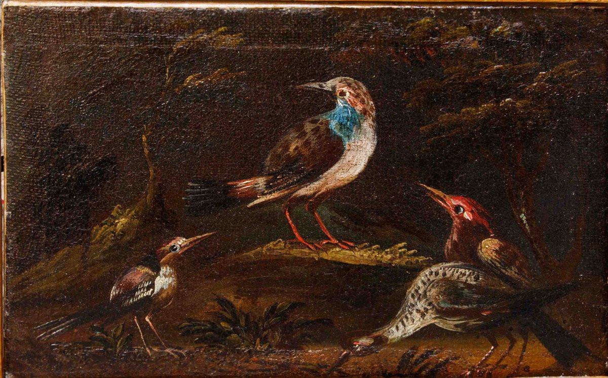 Prima metà del XVIII secolo, scuola bresciana, Coppia di nature vive con uccelli-photo-6