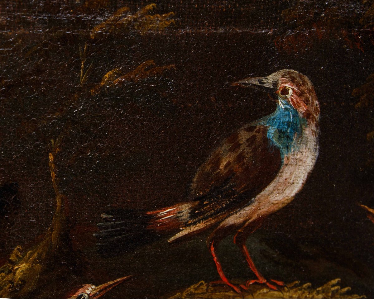 Prima metà del XVIII secolo, scuola bresciana, Coppia di nature vive con uccelli-photo-7