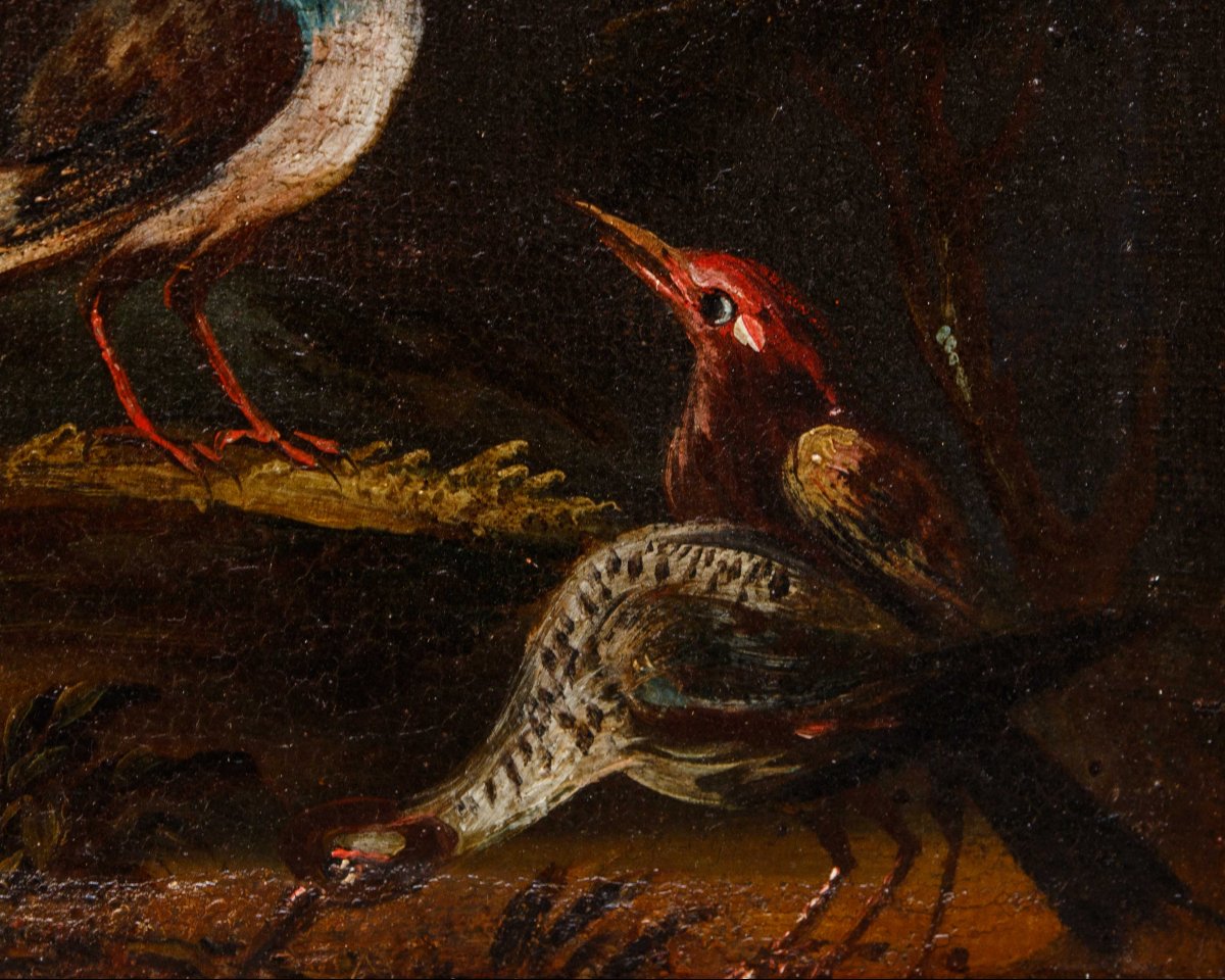 Prima metà del XVIII secolo, scuola bresciana, Coppia di nature vive con uccelli-photo-8