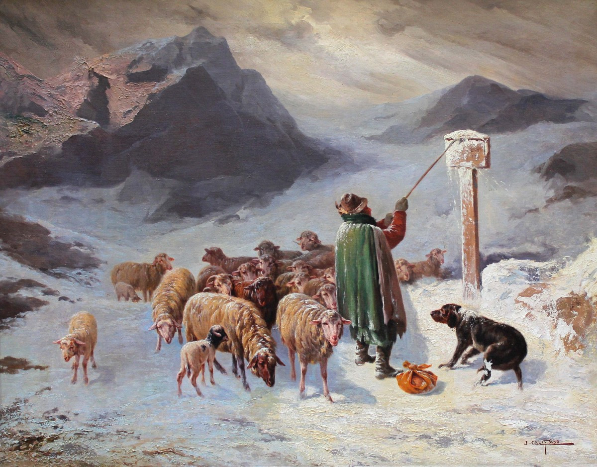 Paesaggio montuoso innevato