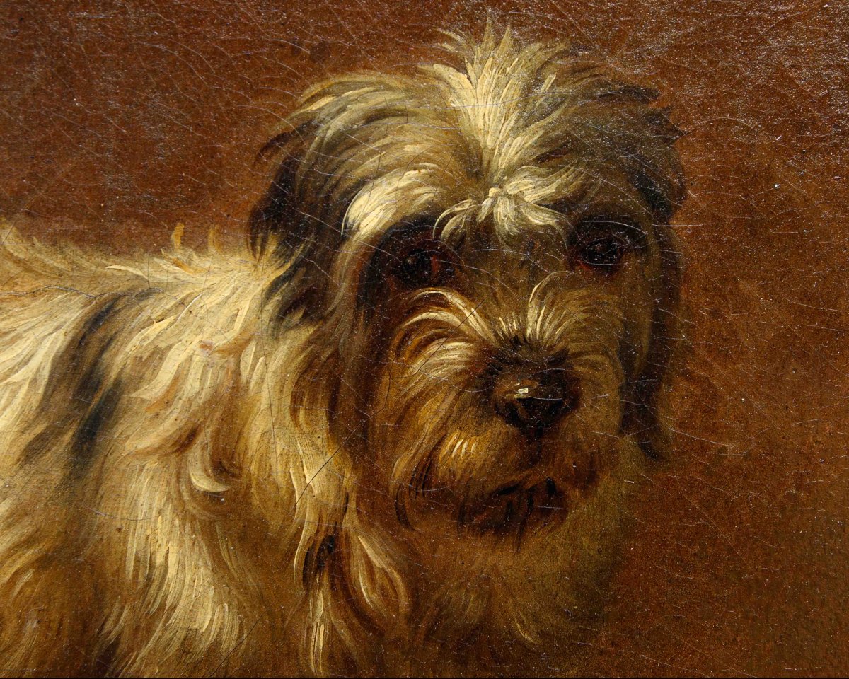Francesco Londonio (Milano, 1723 – 1783), Ritratto di cagnolino-photo-2