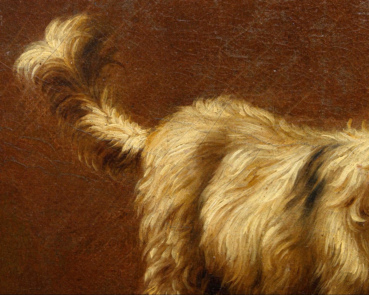 Francesco Londonio (Milano, 1723 – 1783), Ritratto di cagnolino-photo-3