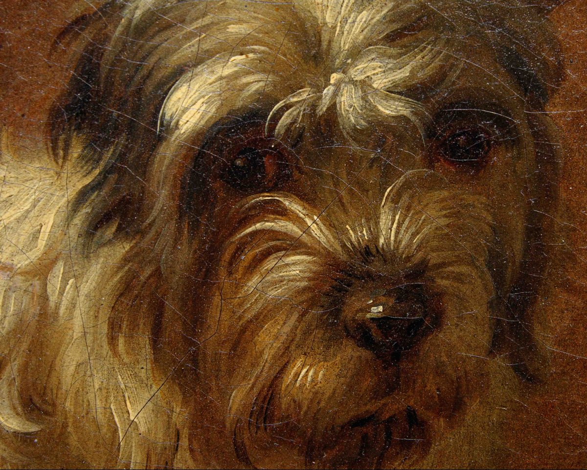 Francesco Londonio (Milano, 1723 – 1783), Ritratto di cagnolino-photo-4
