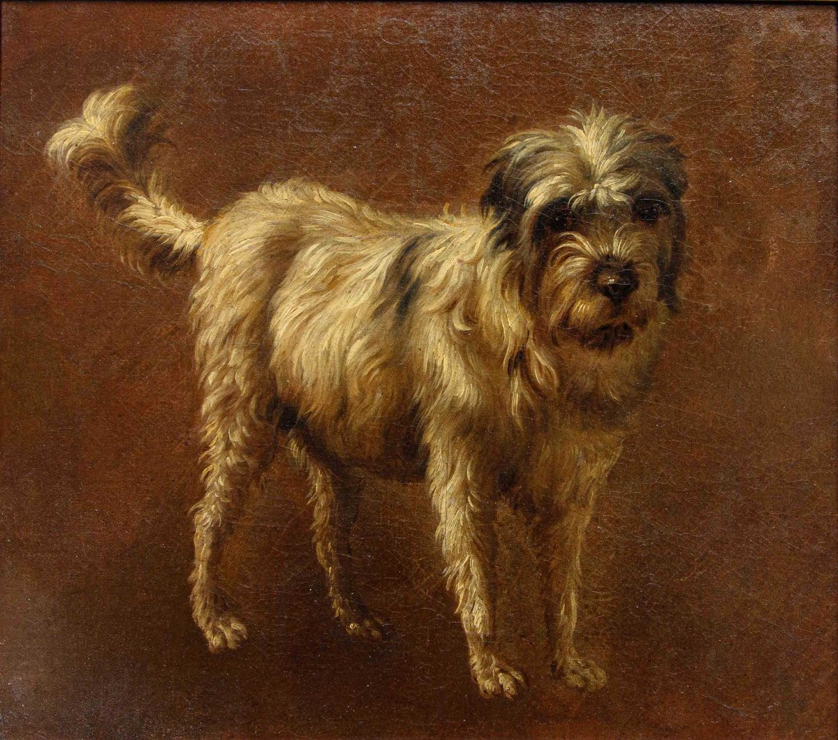 Francesco Londonio (Milano, 1723 – 1783), Ritratto di cagnolino-photo-2
