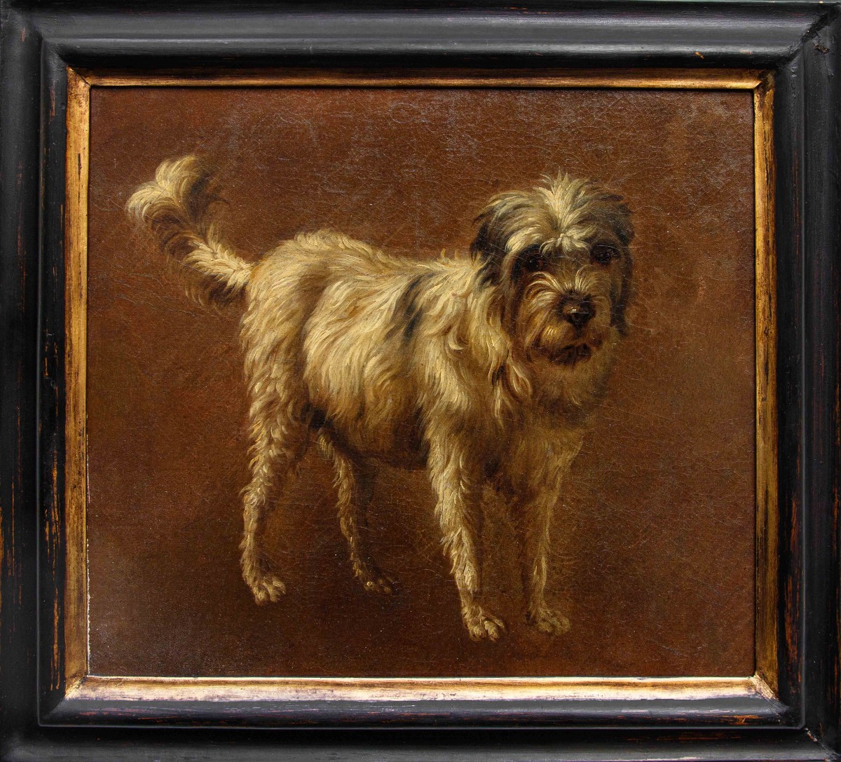 Francesco Londonio (Milano, 1723 – 1783), Ritratto di cagnolino