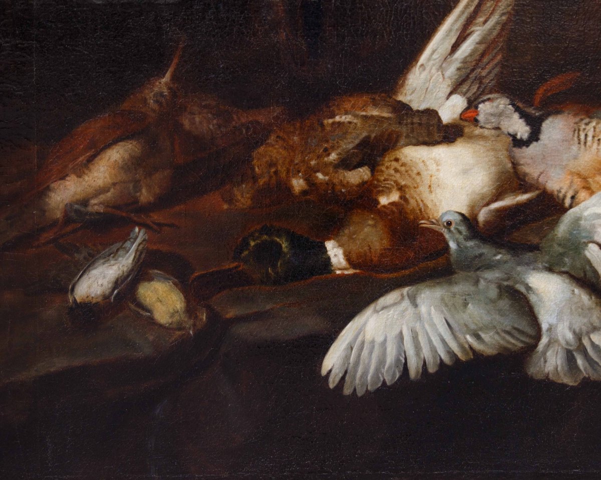 Attr. Jacobus o Iacomo Victor (Amsterdam 1640 ca. - 1705), Natura morta con uccelli-photo-2