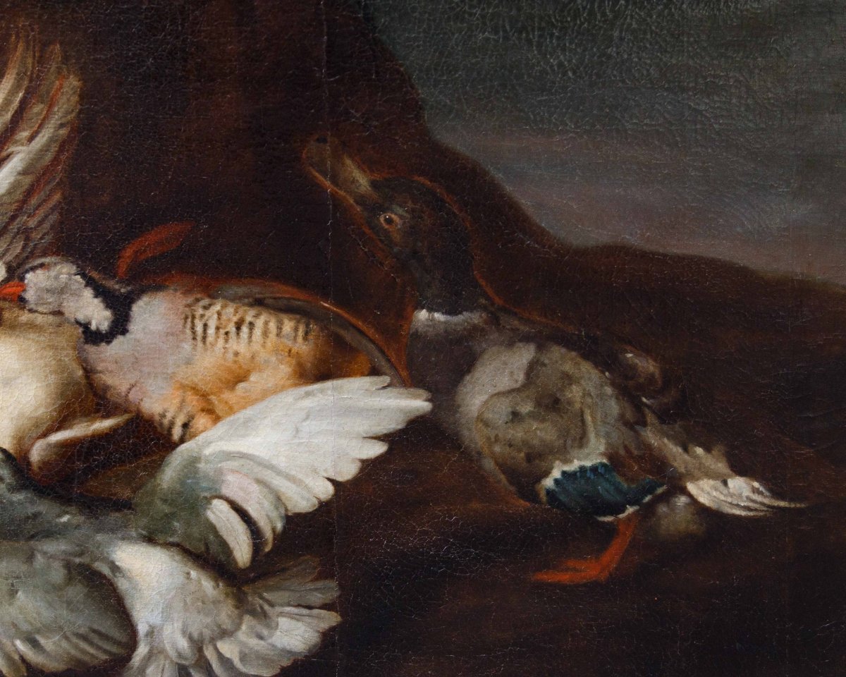 Attr. Jacobus o Iacomo Victor (Amsterdam 1640 ca. - 1705), Natura morta con uccelli-photo-4