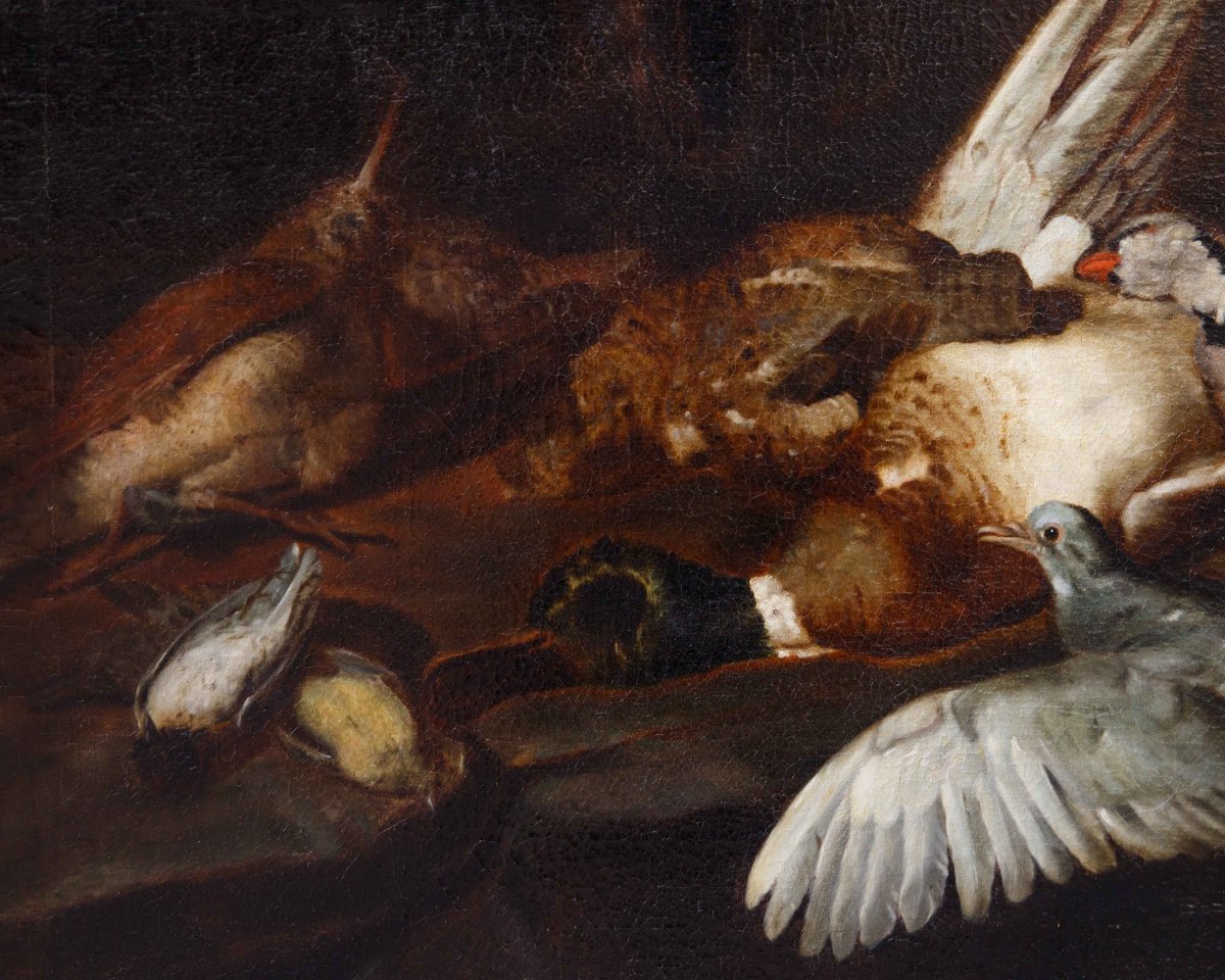 Attr. Jacobus o Iacomo Victor (Amsterdam 1640 ca. - 1705), Natura morta con uccelli-photo-2