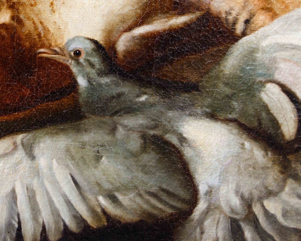 Attr. Jacobus o Iacomo Victor (Amsterdam 1640 ca. - 1705), Natura morta con uccelli-photo-4