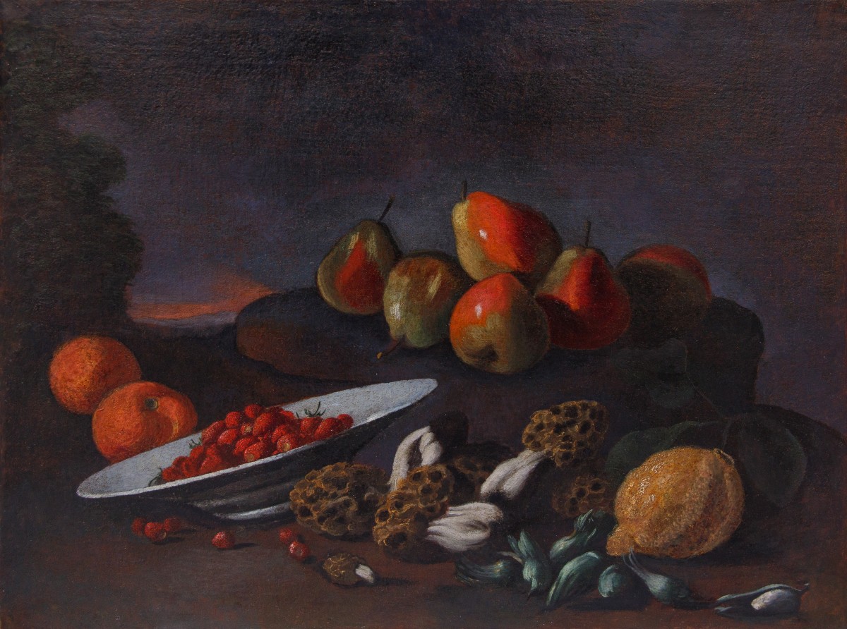 Natura morta con frutta e spugnole