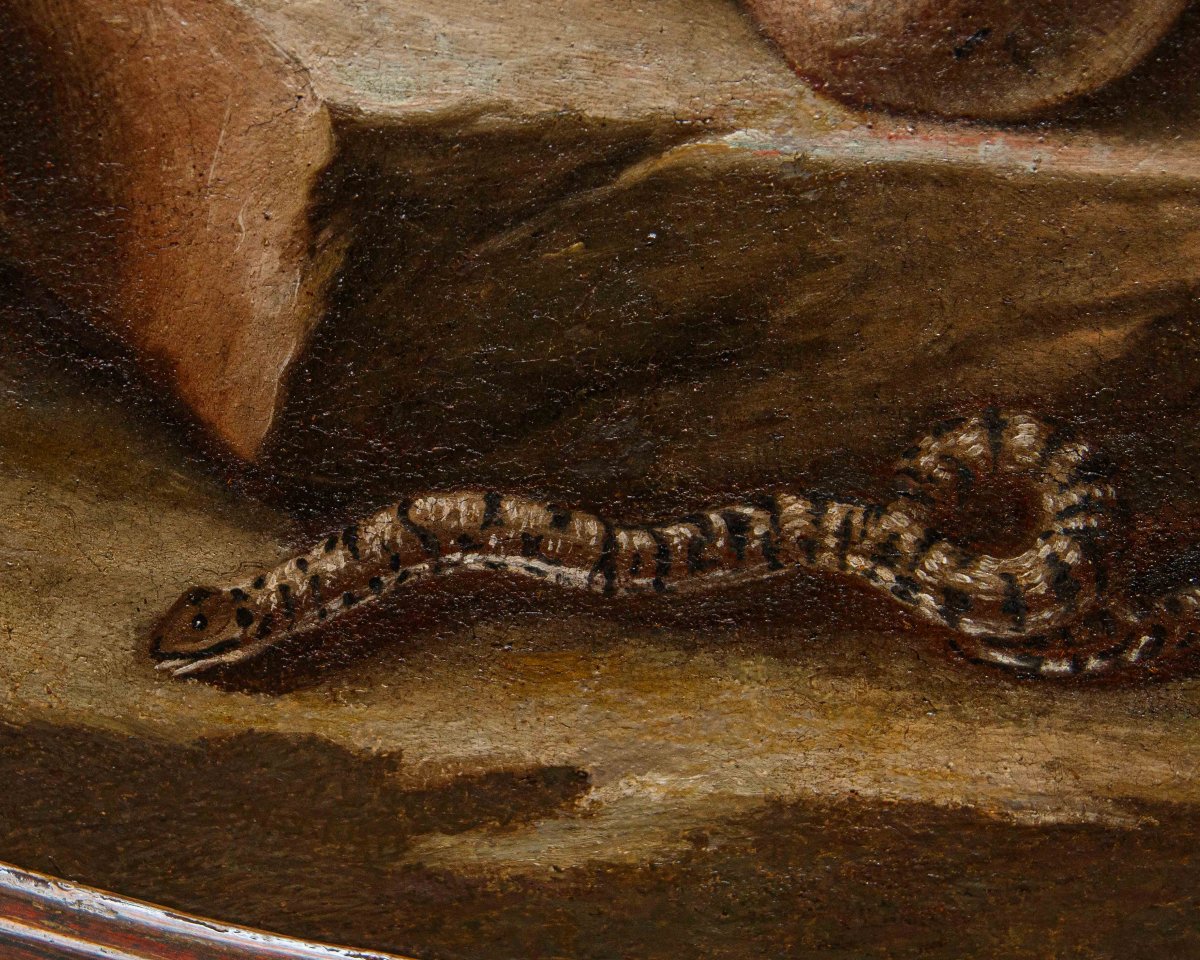 Natura morta con upupa, ranocchia e serpente-photo-6