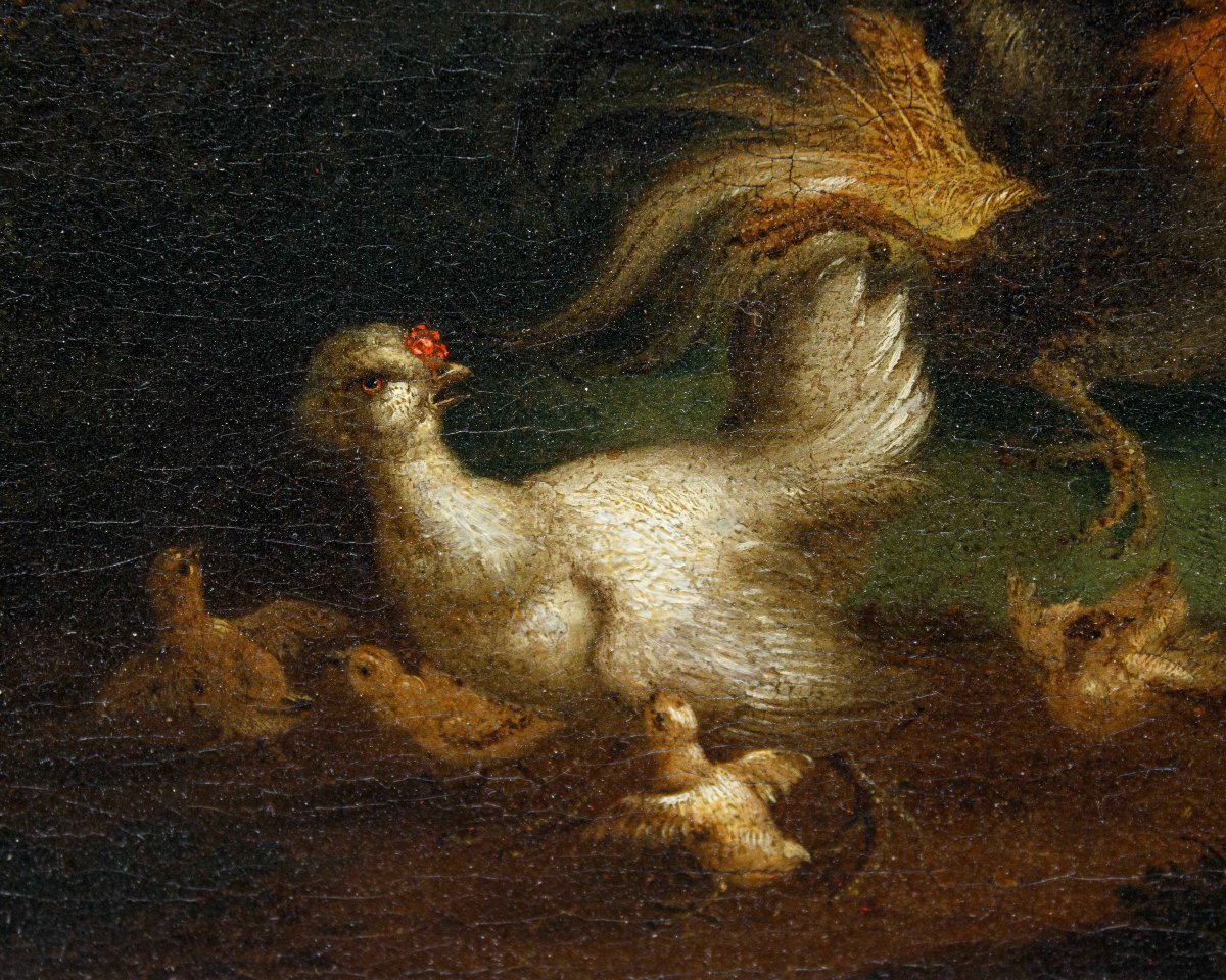 Scuola fiamminga (XVII), Natura viva con animali -photo-1