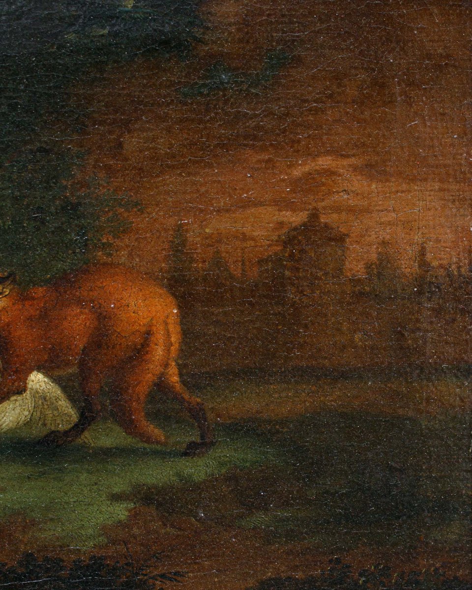 Scuola fiamminga (XVII), Natura viva con animali -photo-2