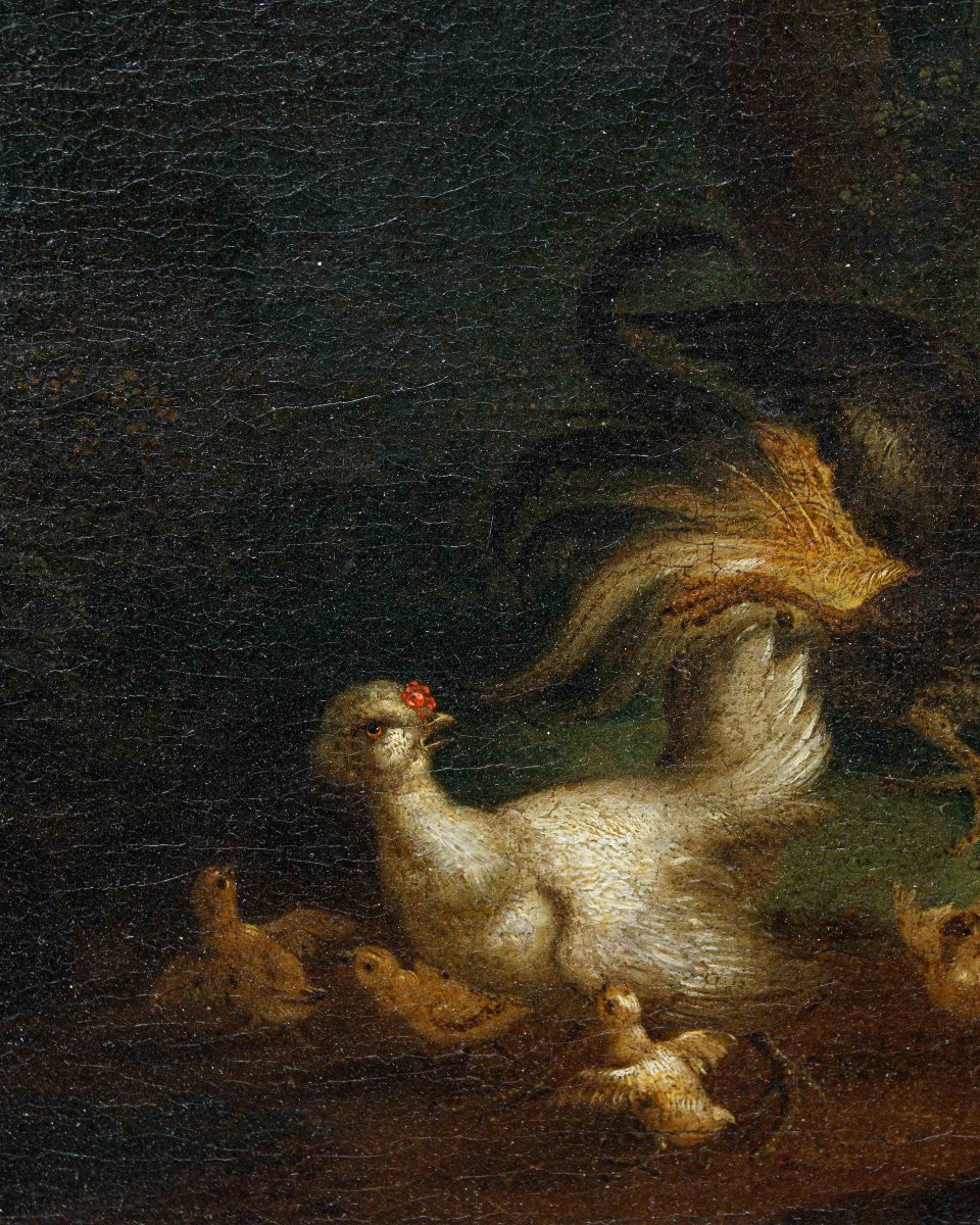 Scuola fiamminga (XVII), Natura viva con animali -photo-3