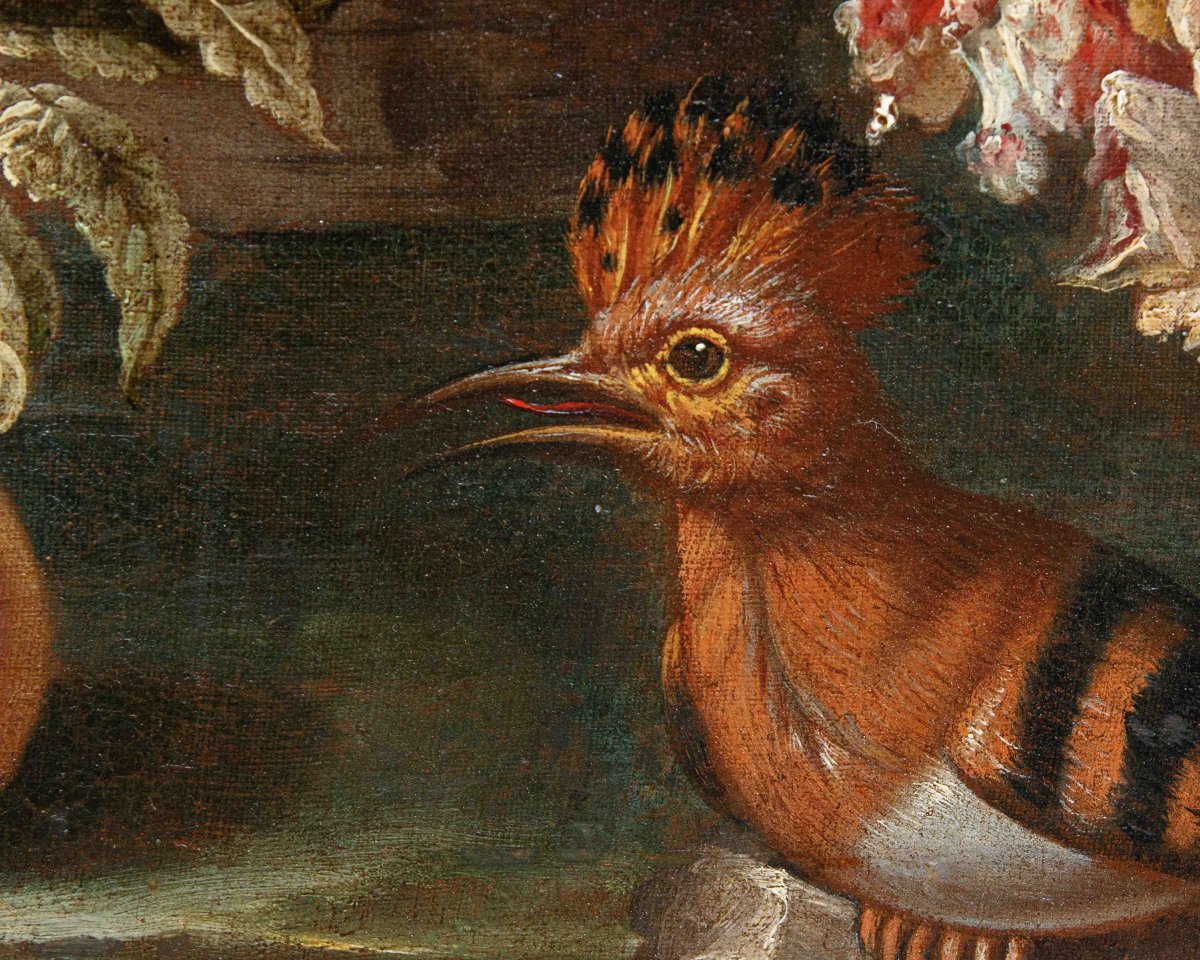 Antonio Rasio (Brescia, post 1677 – ante 1699), Composizione con pane e salame, carne e frutta-photo-4