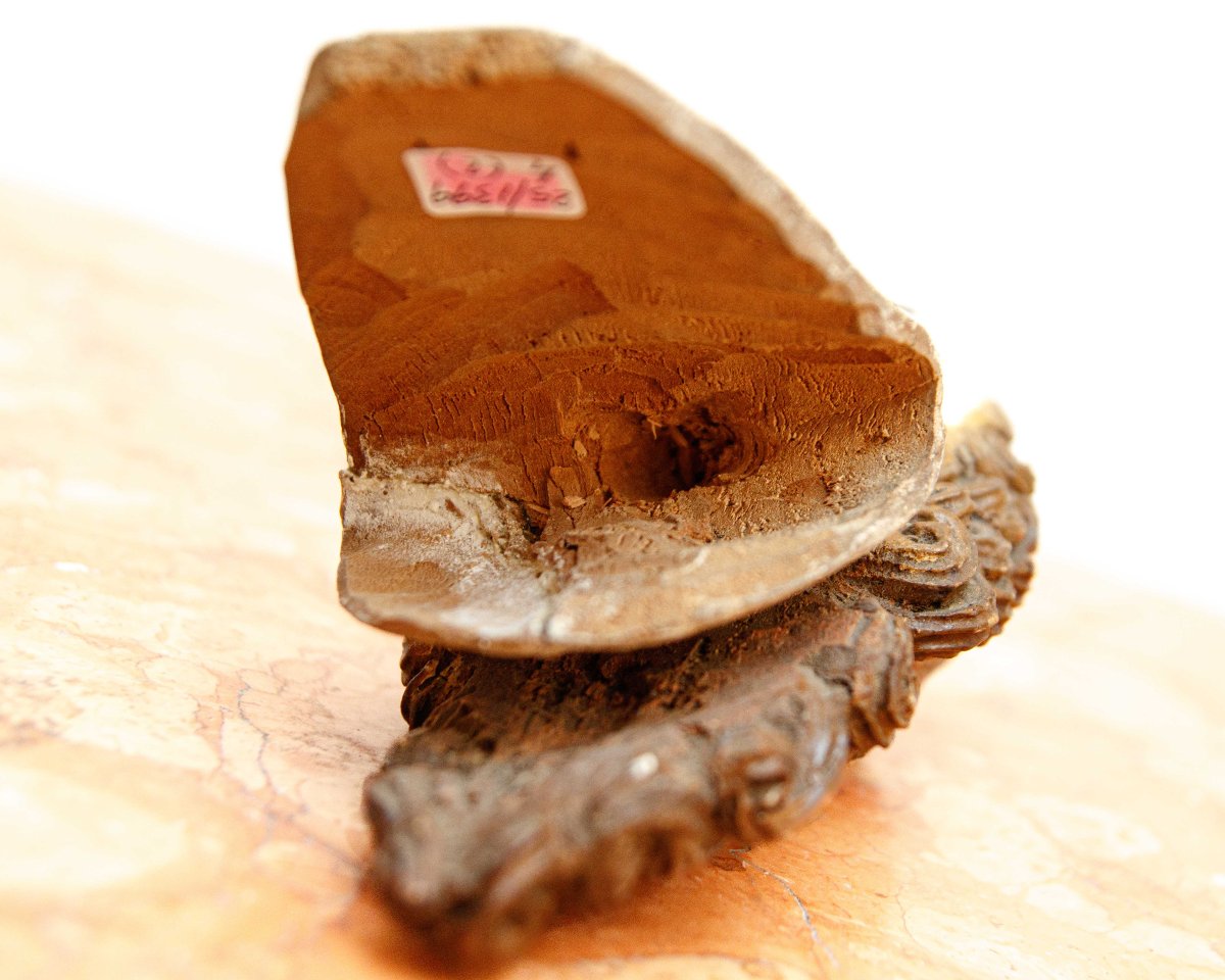 Manifattura napoletana, secolo XVIII, Due teste di figure presepiali-photo-1