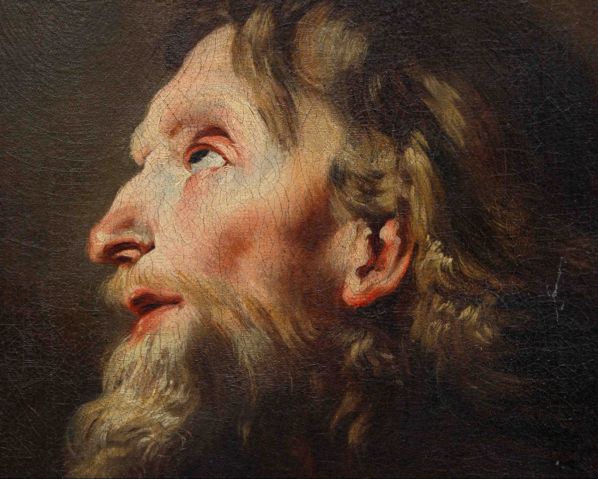 Bottega di Peter Paul Rubens (Siegen, 1577 – Anversa, 1640), San Girolamo in estasi-photo-2