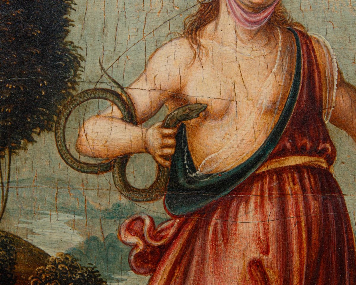 Scuola toscana, fine del XV secolo - inizio del XVI secolo, Cleopatra e l’aspide-photo-6