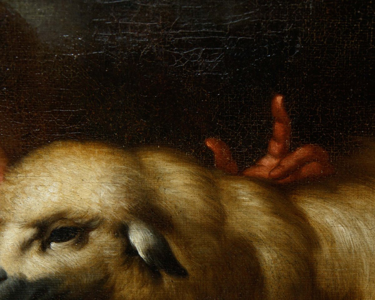 Seguace di Bartolomé Esteban Murillo (Siviglia, 1617 - 1682), San Giovannino con l’agnello-photo-1