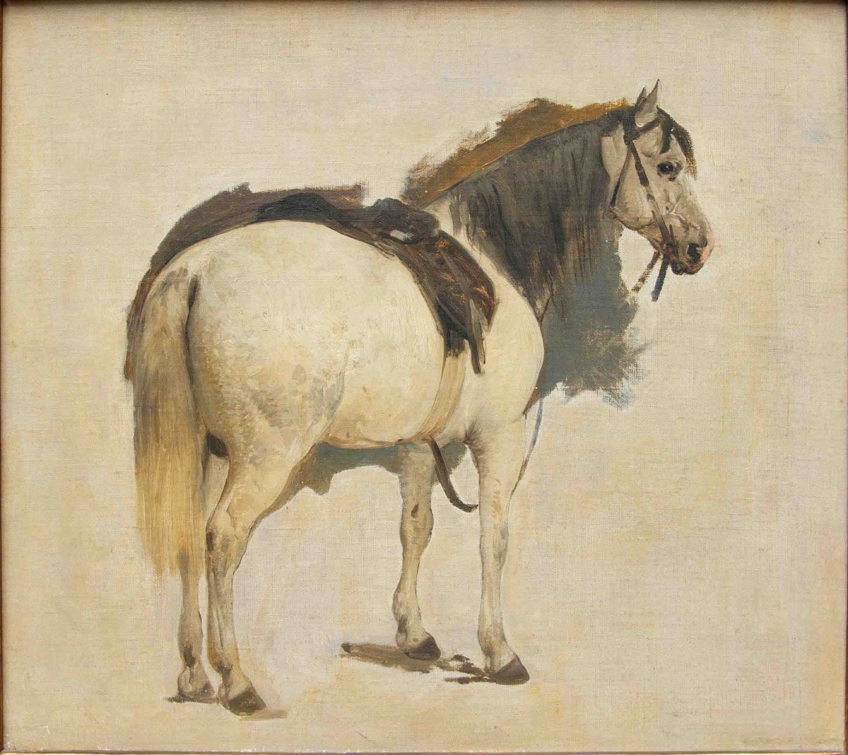 Gerolamo Induno (Milano 1825 – 1890), Cavallo-photo-2