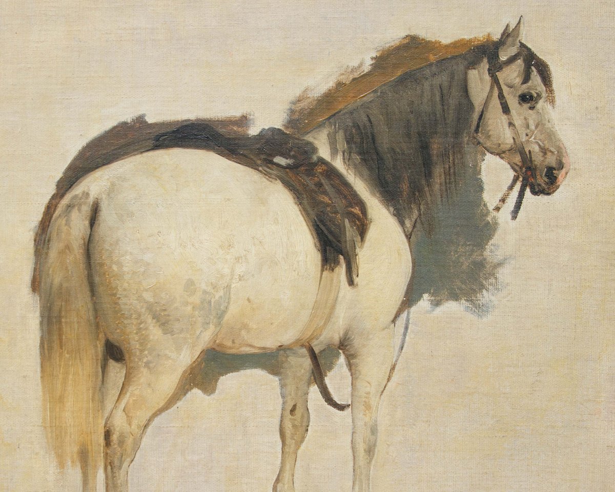 Gerolamo Induno (Milano 1825 – 1890), Cavallo-photo-4