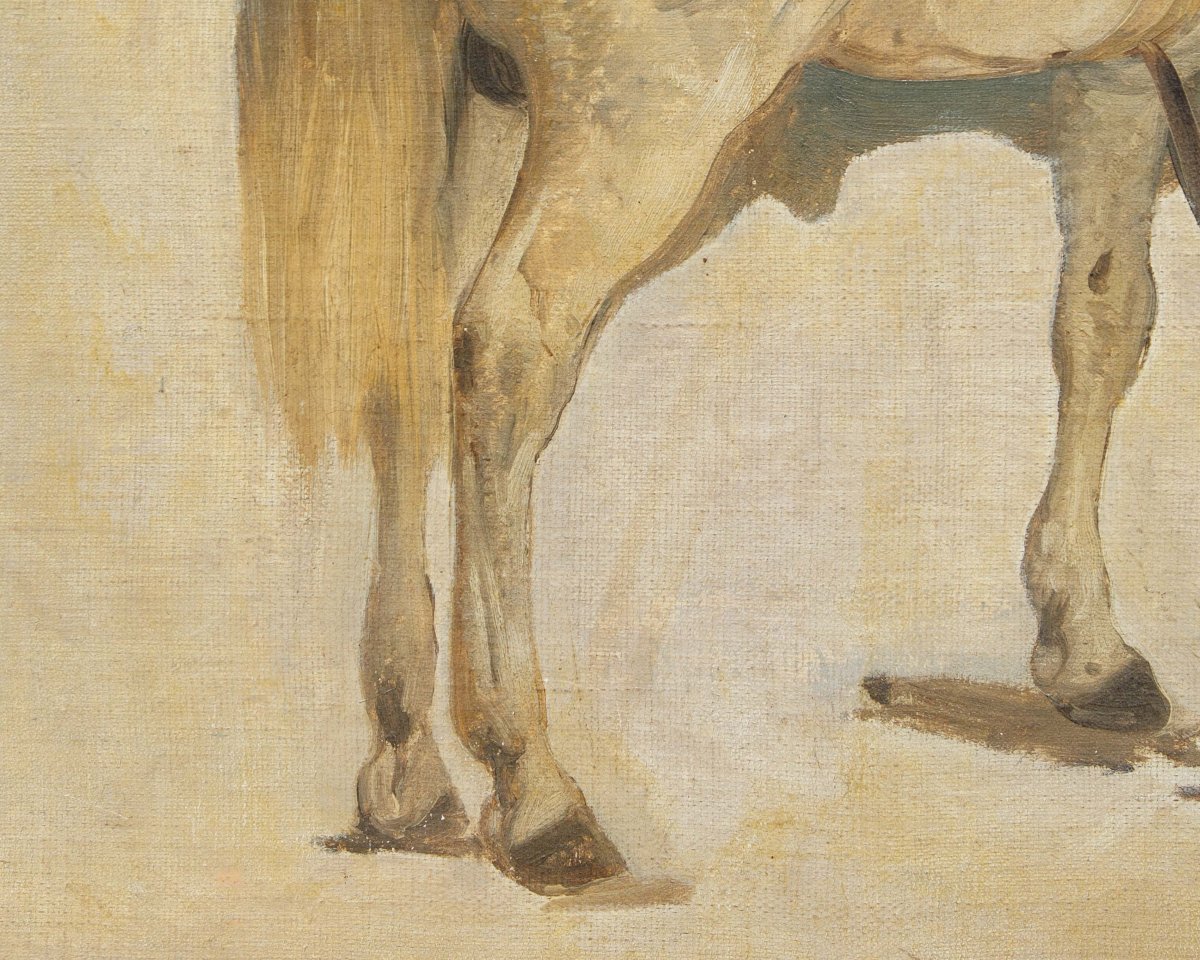 Gerolamo Induno (Milano 1825 – 1890), Cavallo-photo-1