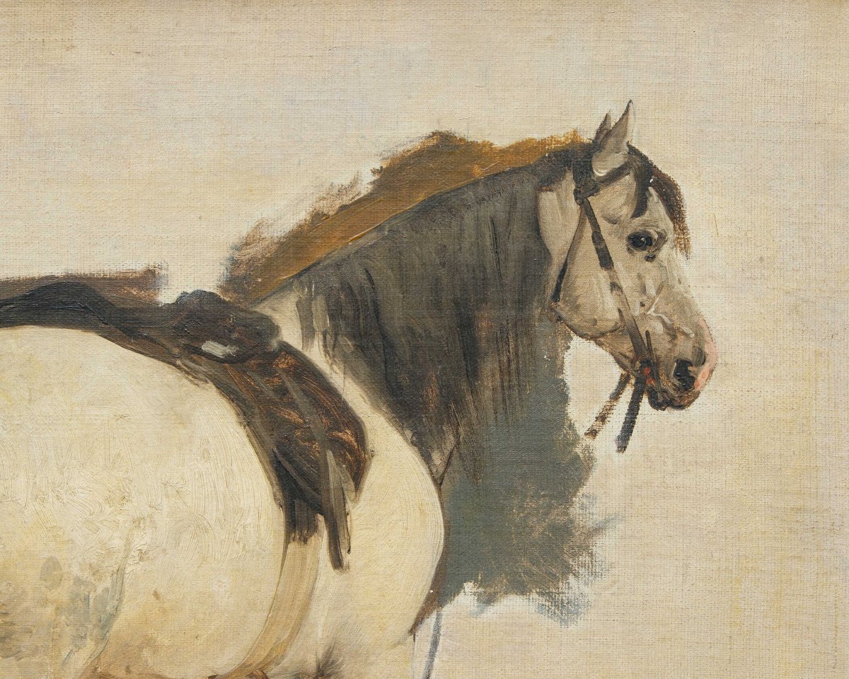Gerolamo Induno (Milano 1825 – 1890), Cavallo-photo-3