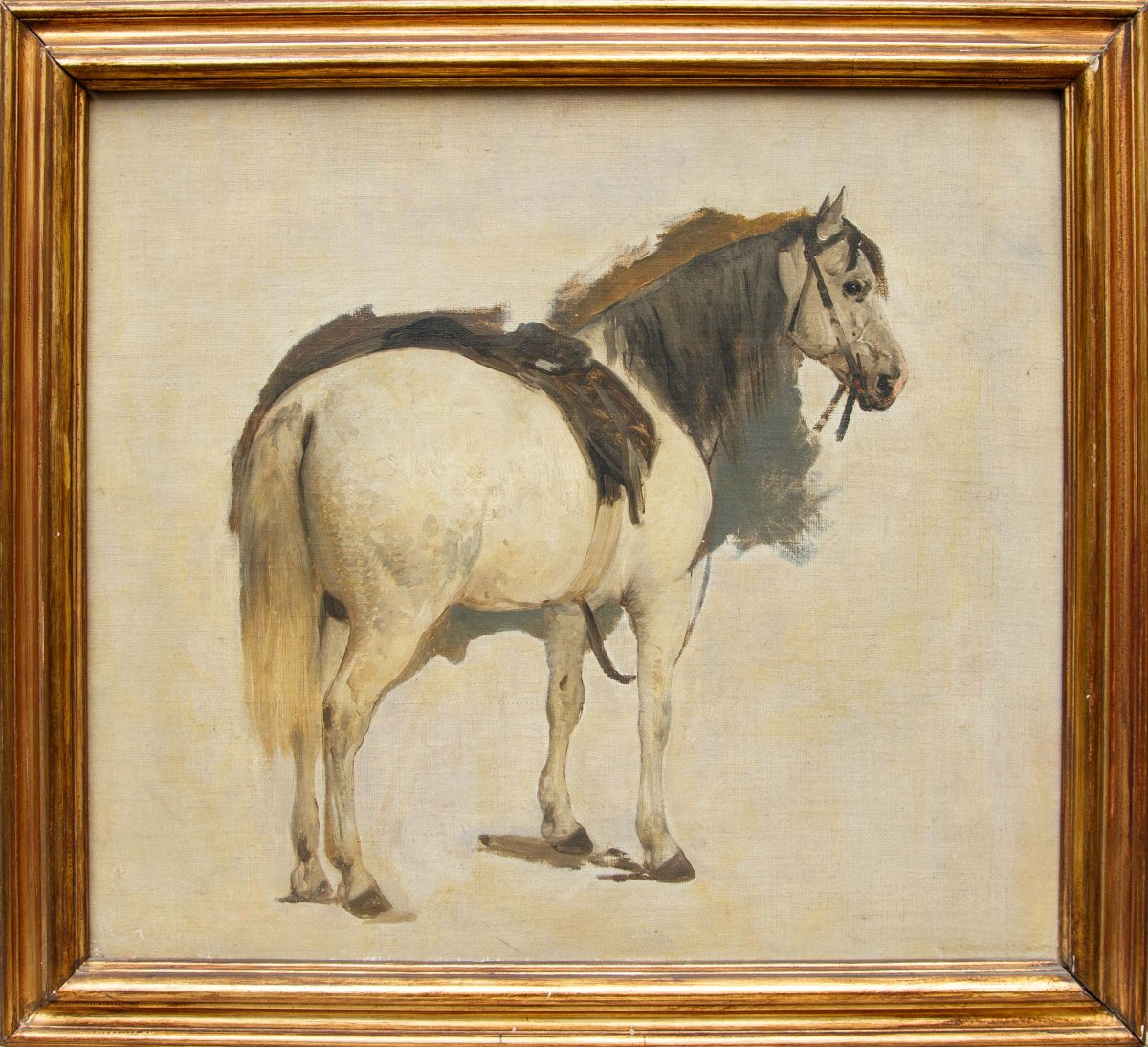 Gerolamo Induno (Milano 1825 – 1890), Cavallo