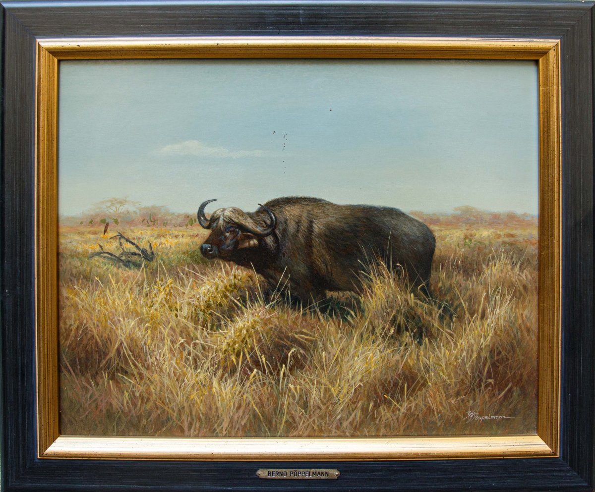 Bernd Pöppelmann (Rheine (DE), 1946), Il bufalo