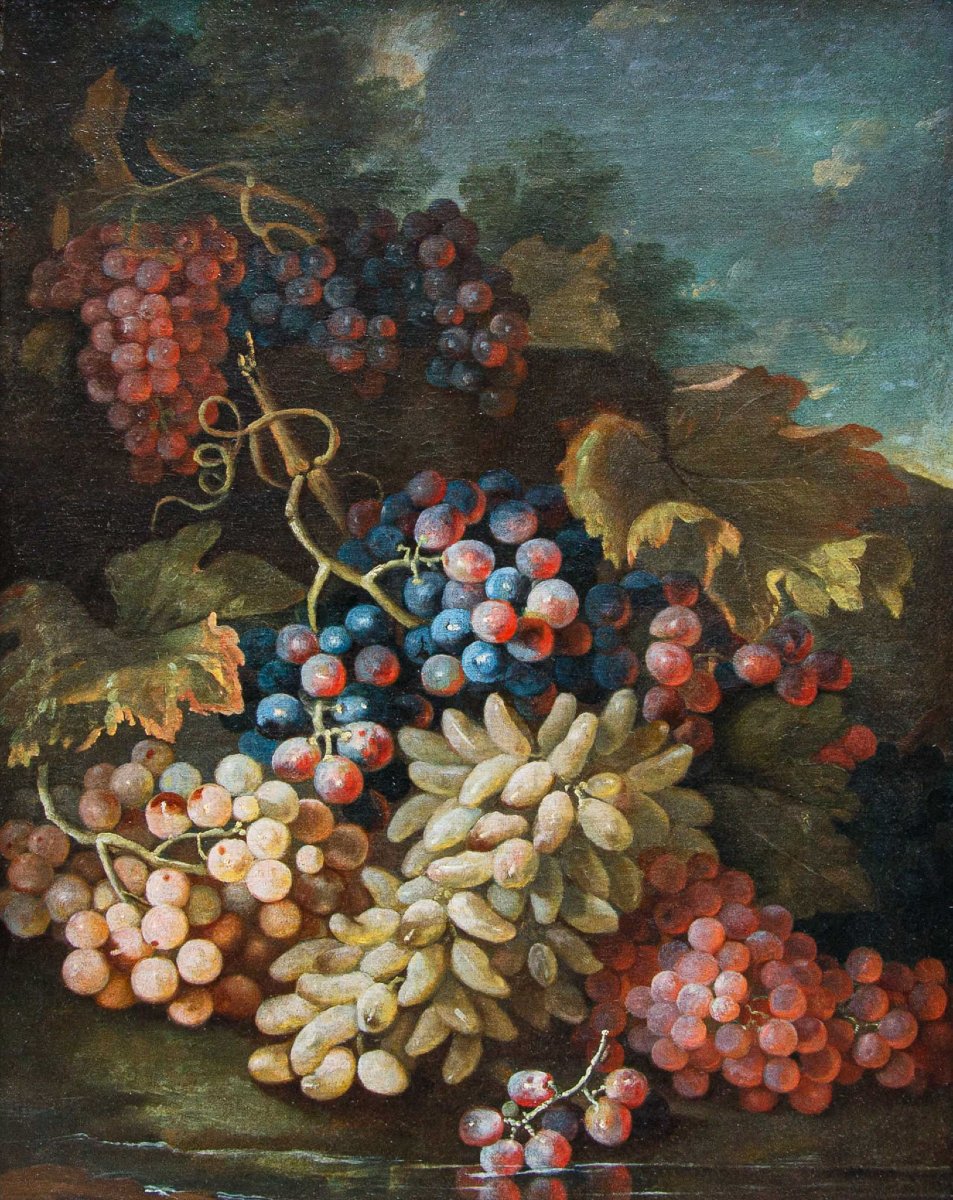 Maximilian Pfeiler (attivo dal 1683 - 1721 ca.), Natura morta con uve bianche e nere-photo-2