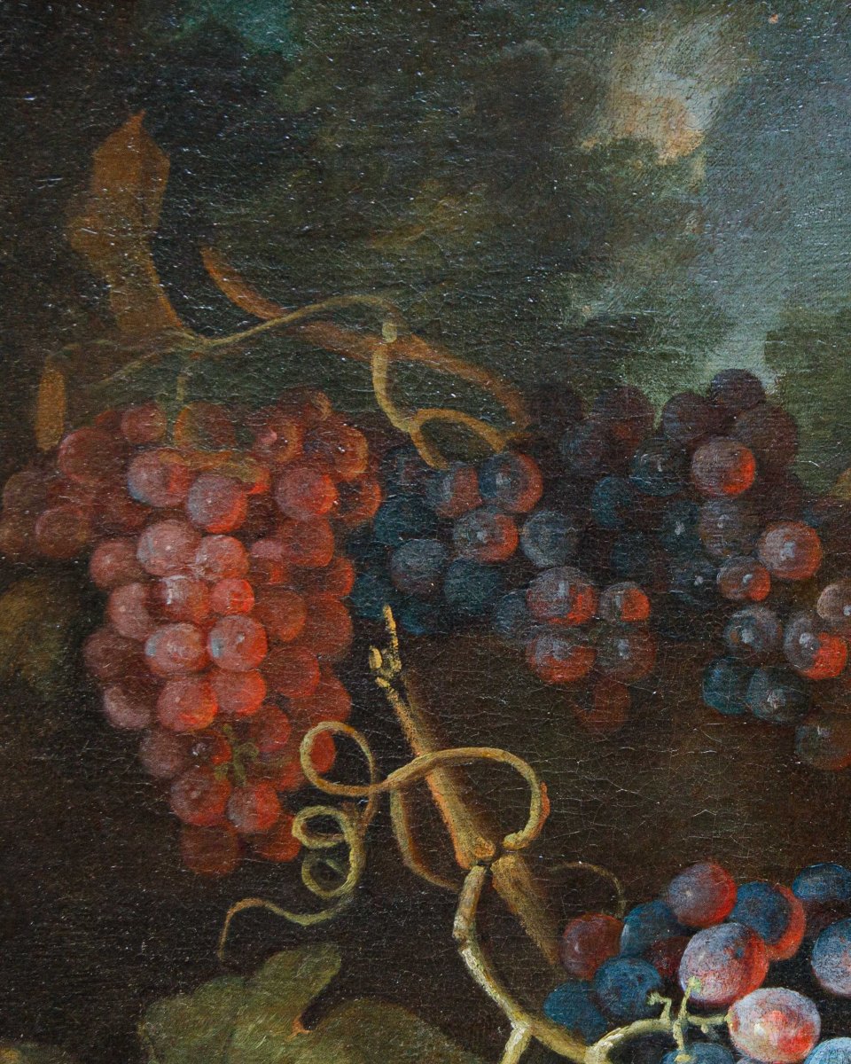 Maximilian Pfeiler (attivo dal 1683 - 1721 ca.), Natura morta con uve bianche e nere-photo-1