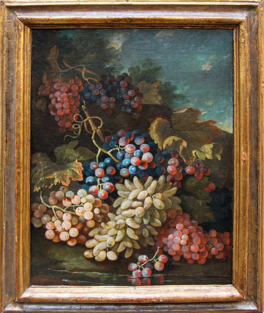Maximilian Pfeiler (attivo dal 1683 - 1721 ca.), Natura morta con uve bianche e nere
