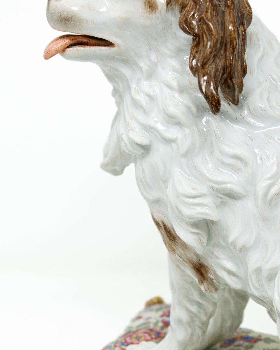 Porcellana di Meissen, seconda metà del XVIII secolo, Cucciolo di Bolognese su un cuscino-photo-3