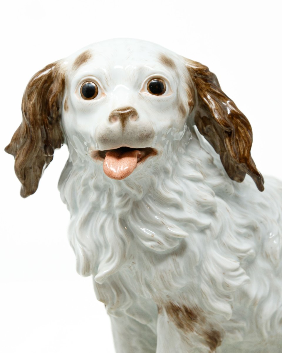 Porcellana di Meissen, seconda metà del XVIII secolo, Cucciolo di Bolognese su un cuscino-photo-5