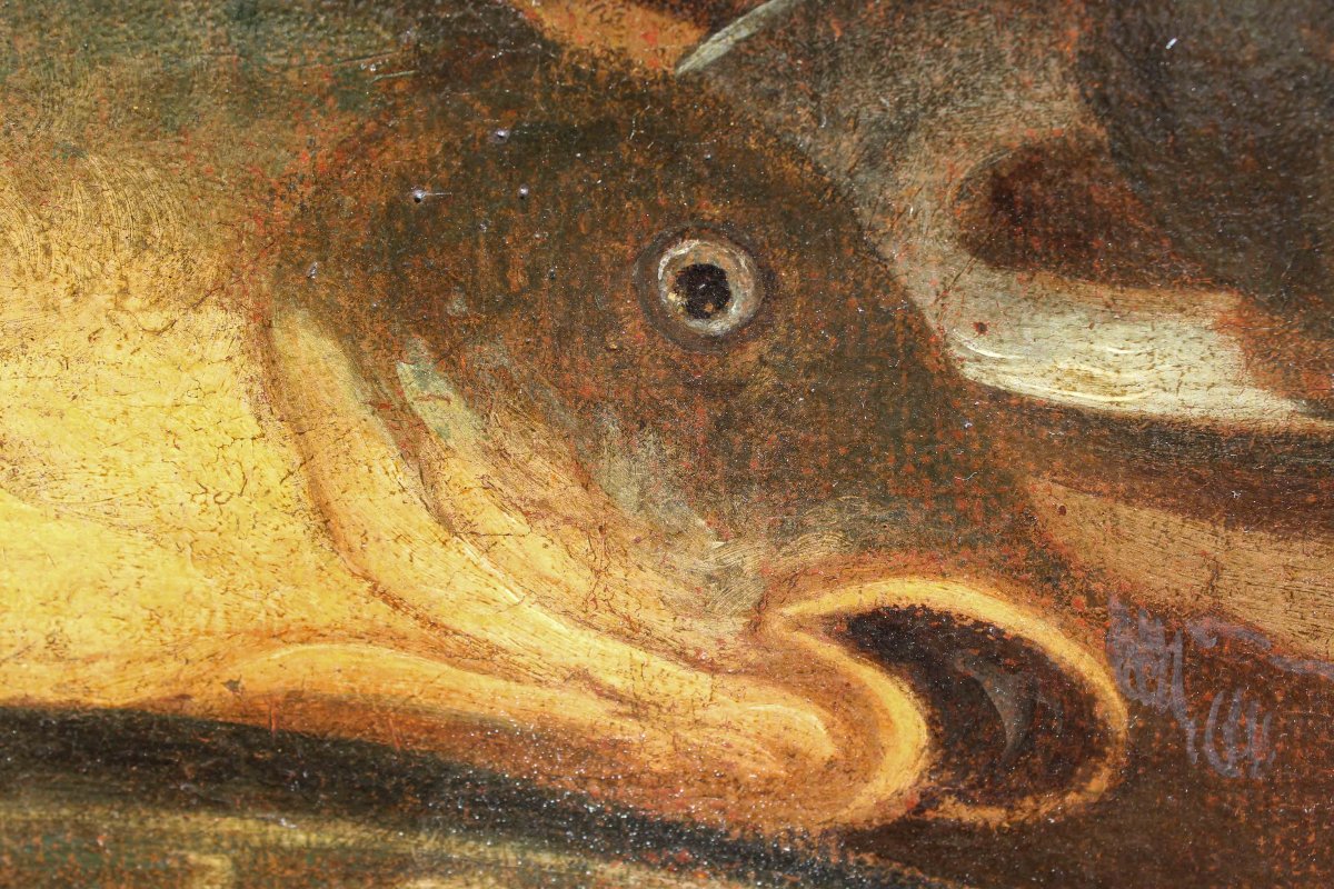 Nicola Levoli (Rimini, 1728 – 1801), attr., Natura morta con pesci e crostacei-photo-3