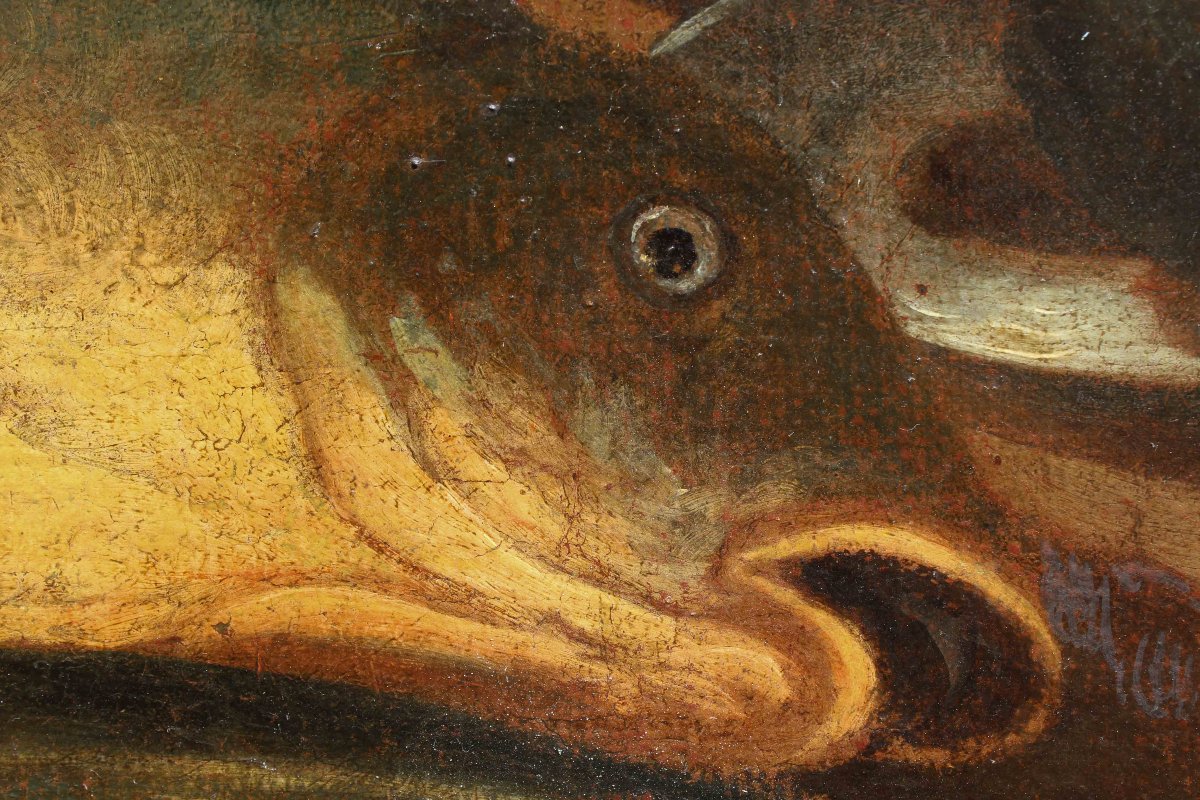 Nicola Levoli (Rimini, 1728 – 1801), attr., Natura morta con pesci e crostacei-photo-4
