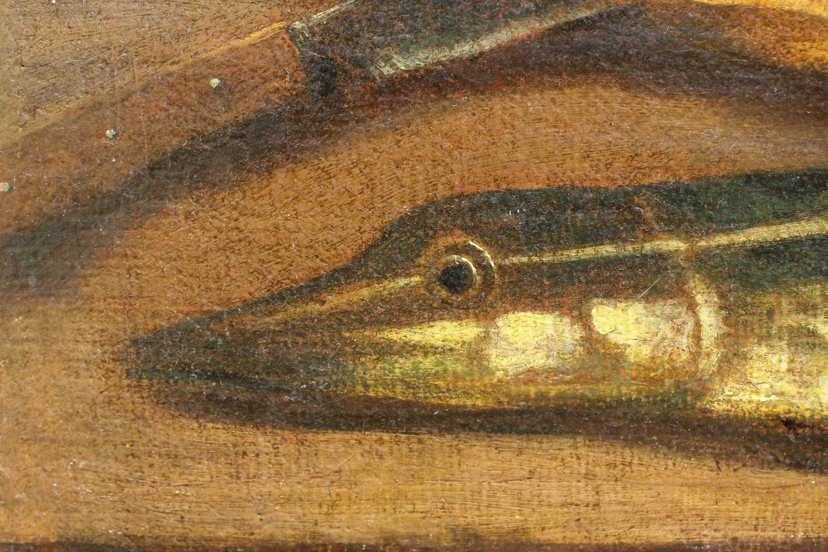 Nicola Levoli (Rimini, 1728 – 1801), attr., Natura morta con pesci e crostacei-photo-7