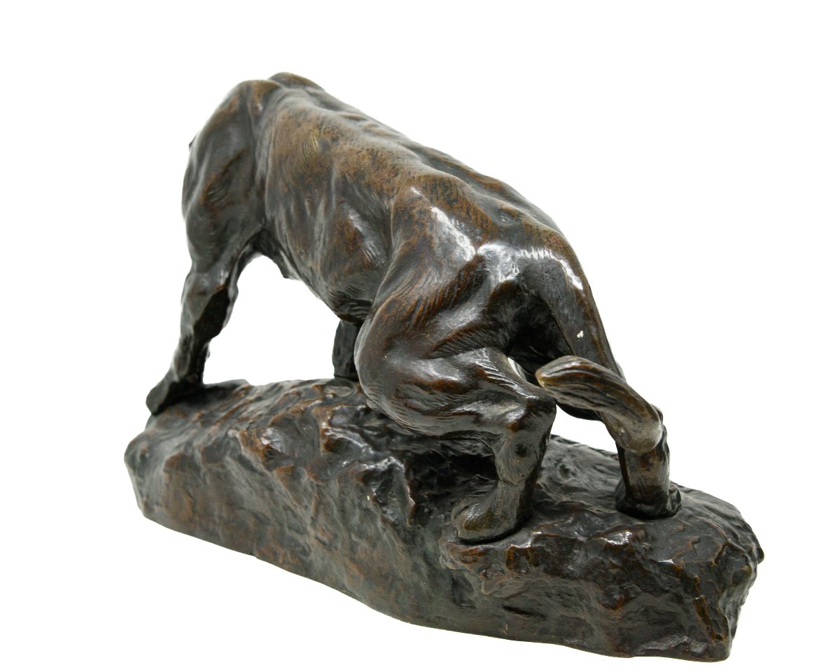 Thomas Francois Cartier (Marsiglia, 1879 - Saint-Vallier, 1936), Leone e pantera-photo-5