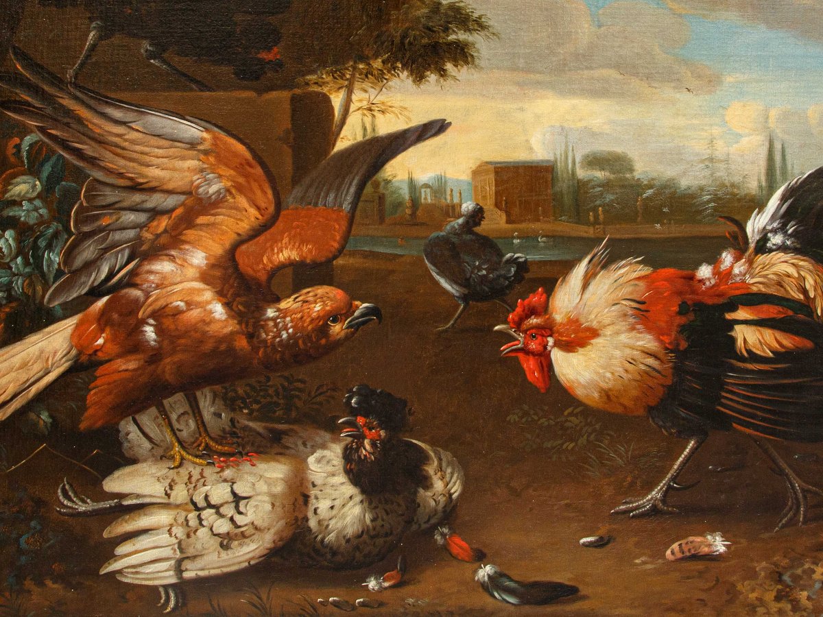Seguace di Melchior de Hondecoeter (1636 – 1695), XVIII secolo, Un gallo difende una gallina-photo-2
