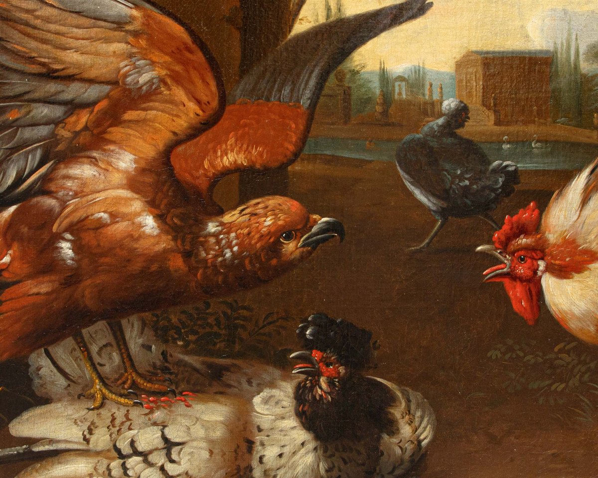 Seguace di Melchior de Hondecoeter (1636 – 1695), XVIII secolo, Un gallo difende una gallina-photo-4