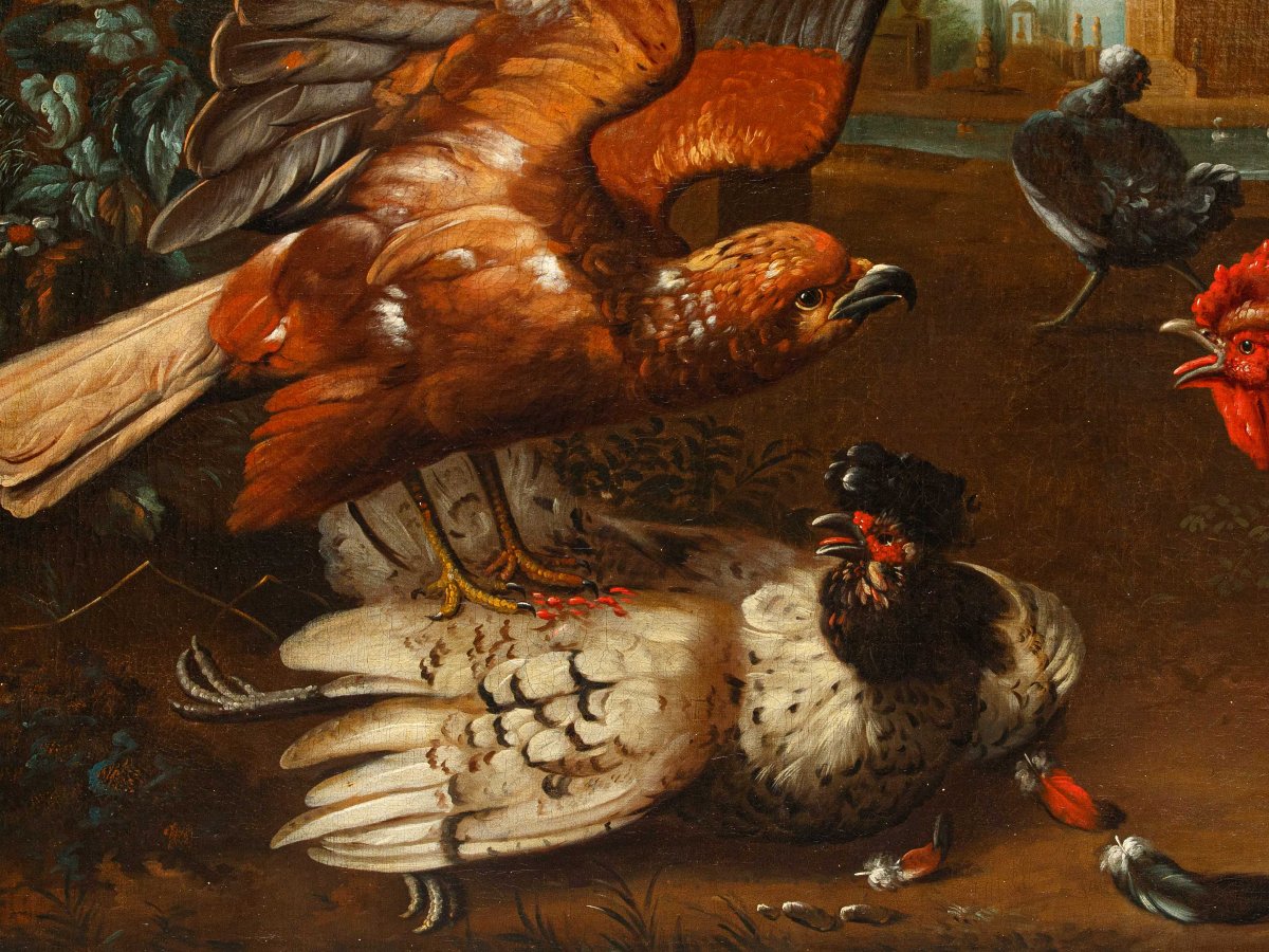 Seguace di Melchior de Hondecoeter (1636 – 1695), XVIII secolo, Un gallo difende una gallina-photo-1