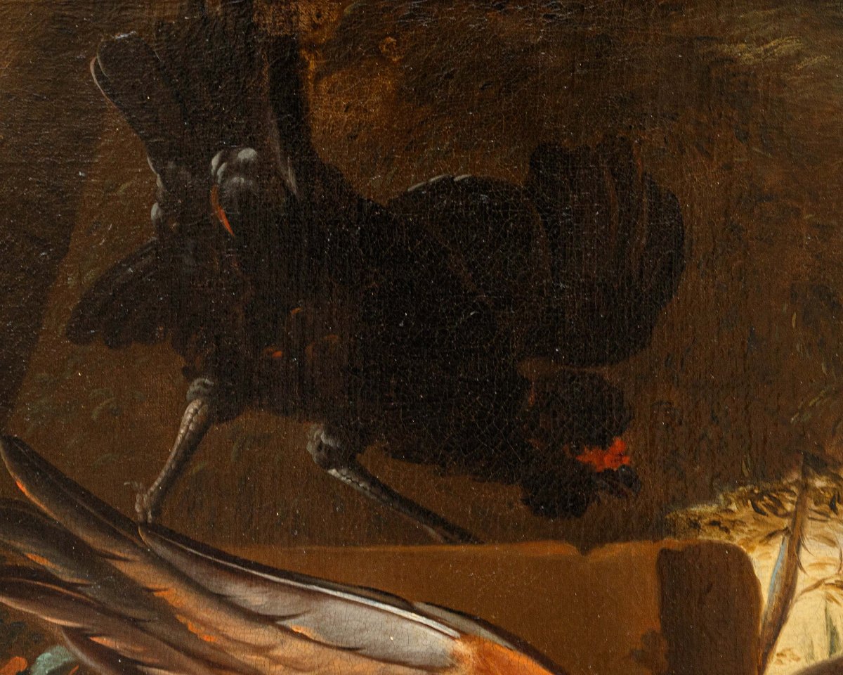 Seguace di Melchior de Hondecoeter (1636 – 1695), XVIII secolo, Un gallo difende una gallina-photo-3